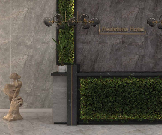 رئالستون طوسی روشن پولیش  REALSTON-LIGHT GRAY-POLISHED