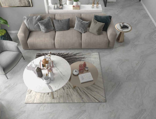 دانا طوسی روشن پولیش