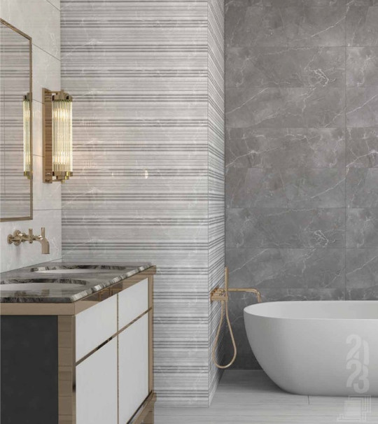 فیکوس طوسی تیره براق  FICUS DARK GRAY GLOSSY